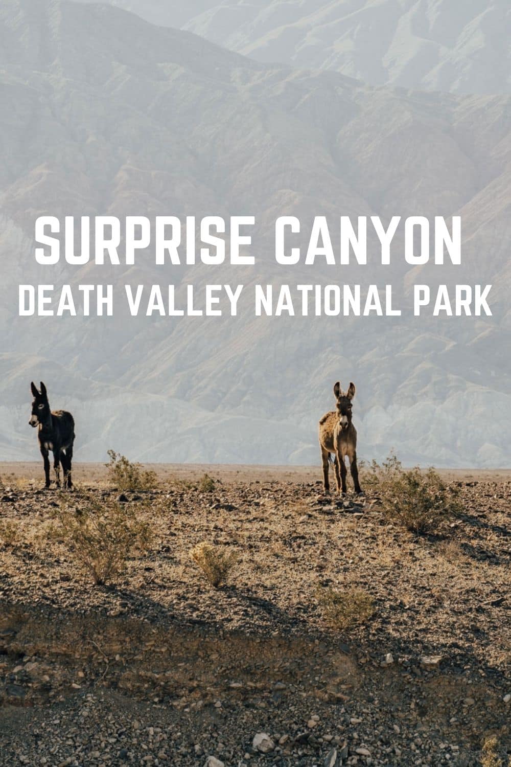 surprise canyon death valley