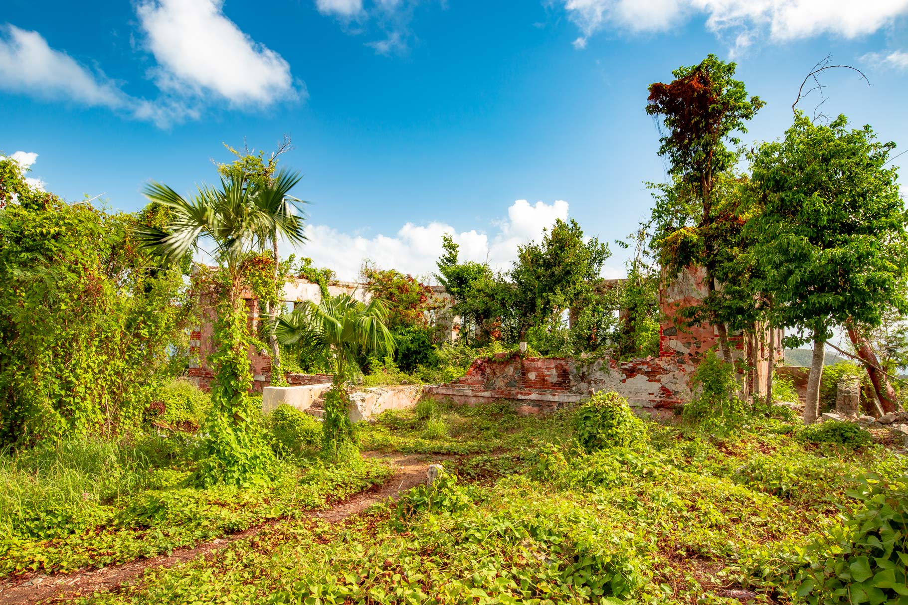 America Hill Ruins virgin islands national park