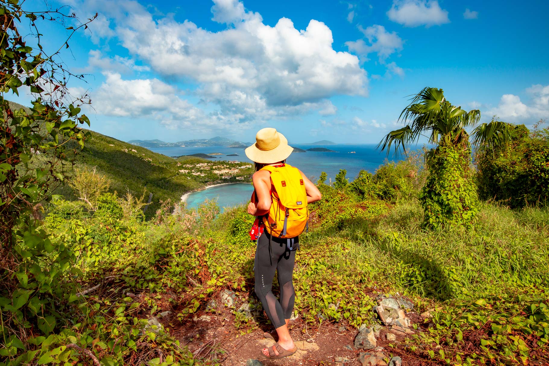 america hill ruins hike virgin islands national park