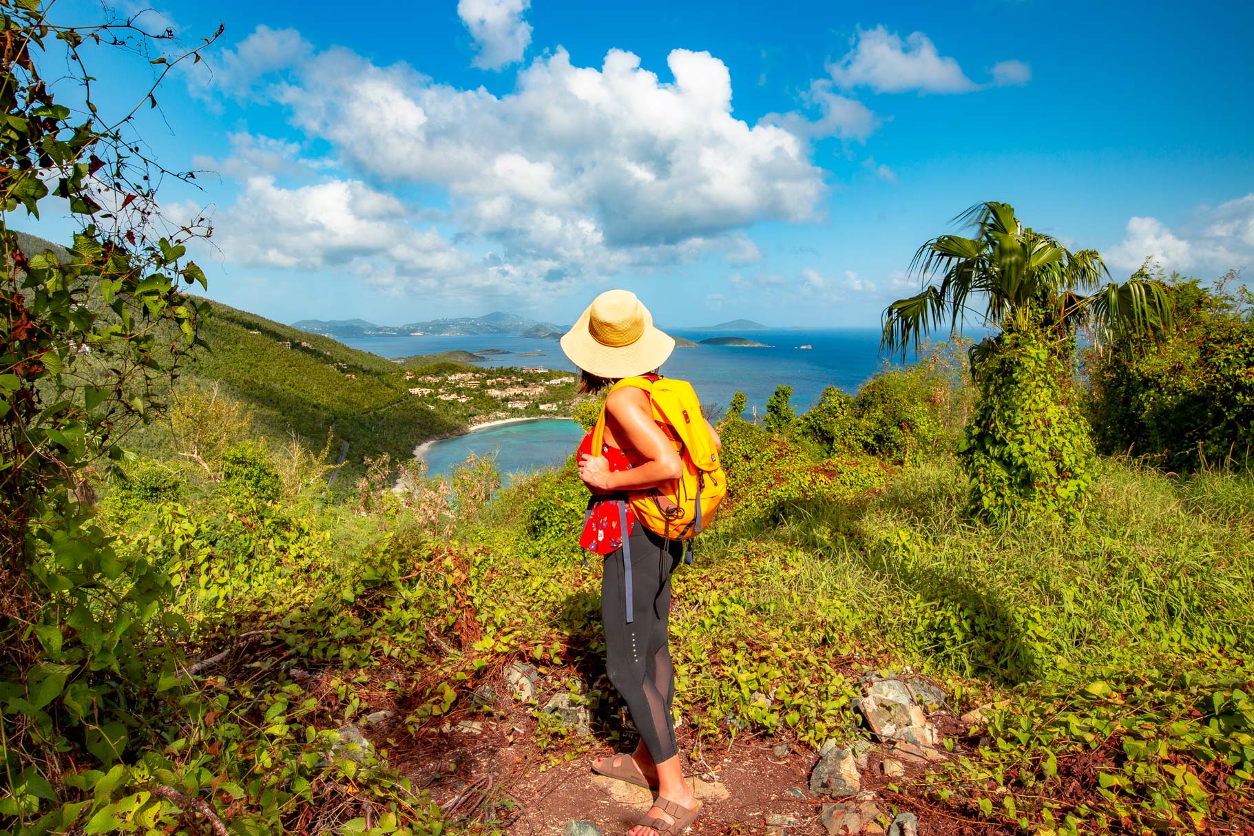 america hill ruins hike virgin islands national park