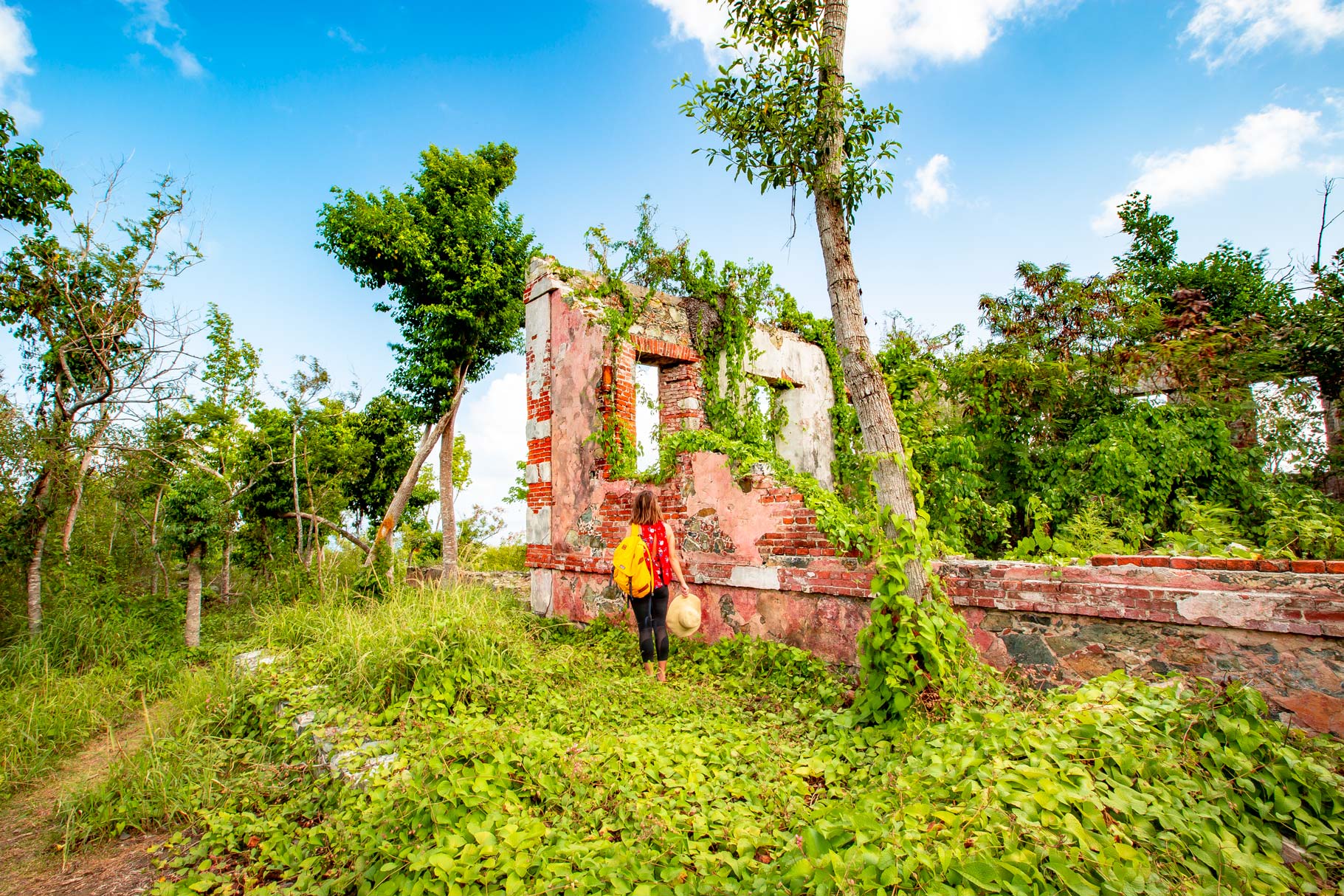 america hill ruins virgin islands national park