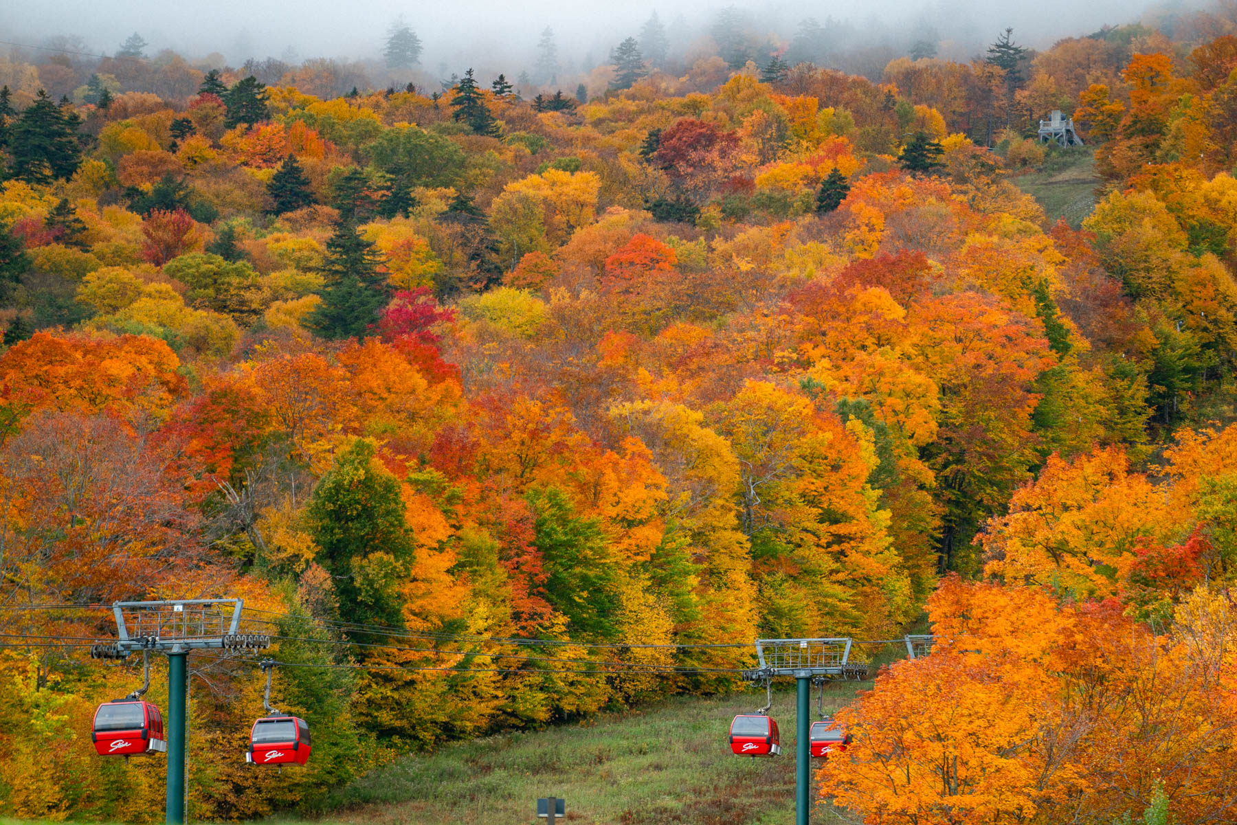 green mountain national forest vermont tram ride