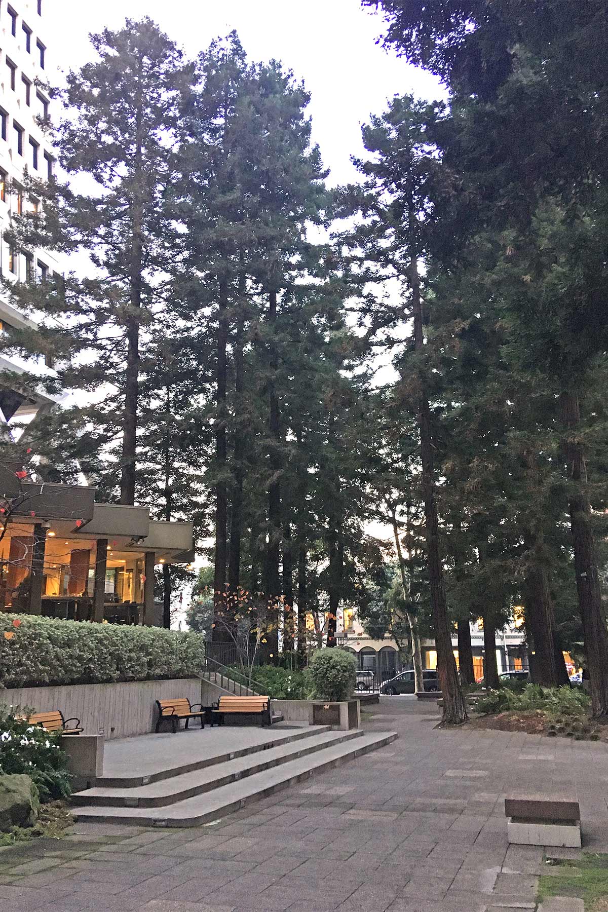 tranamerica redwood park san francisco