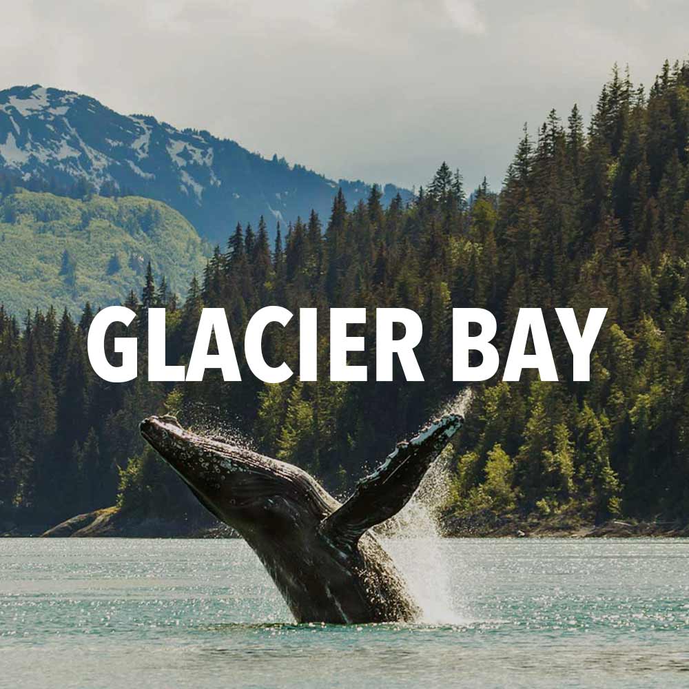glacier bay national park