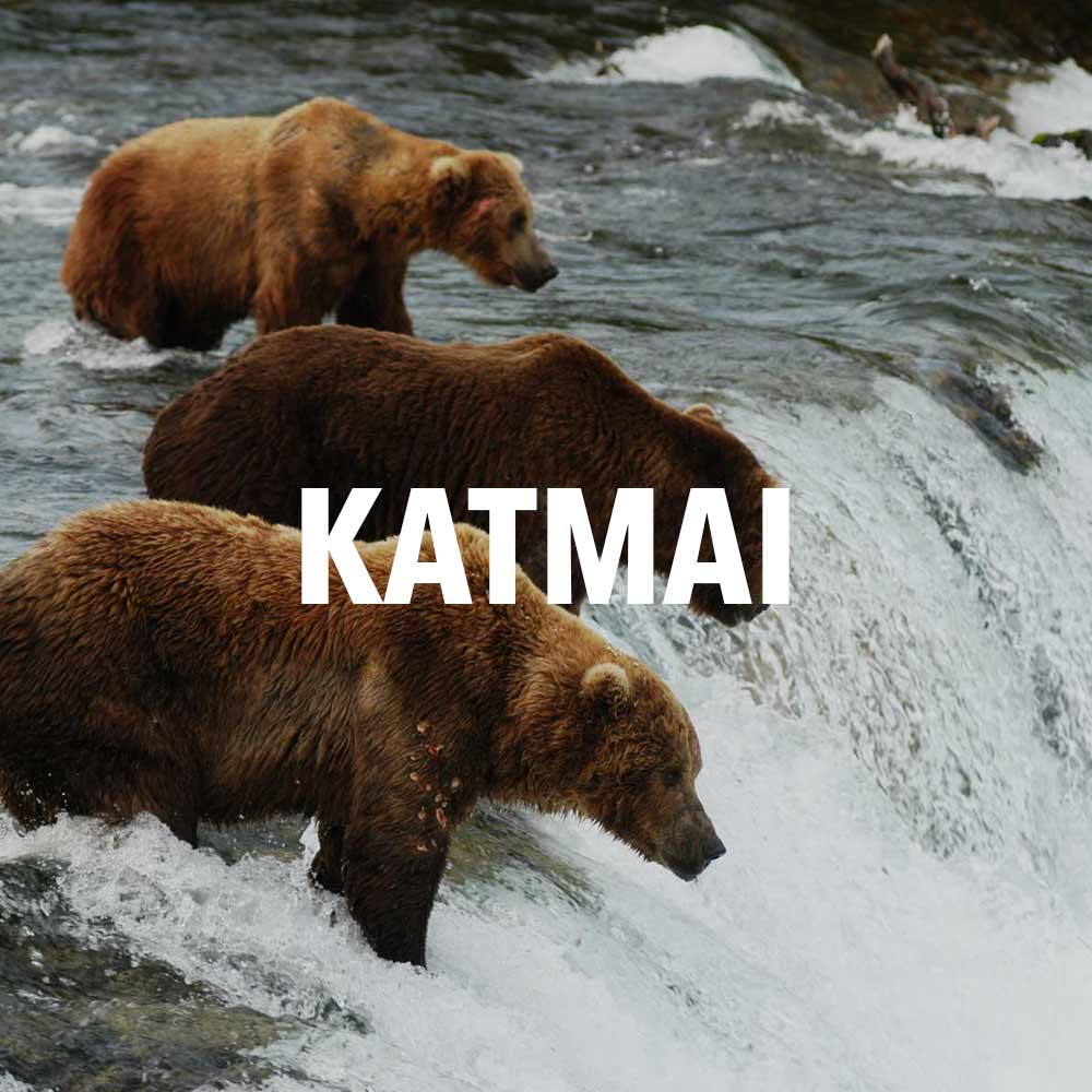 katmai national park