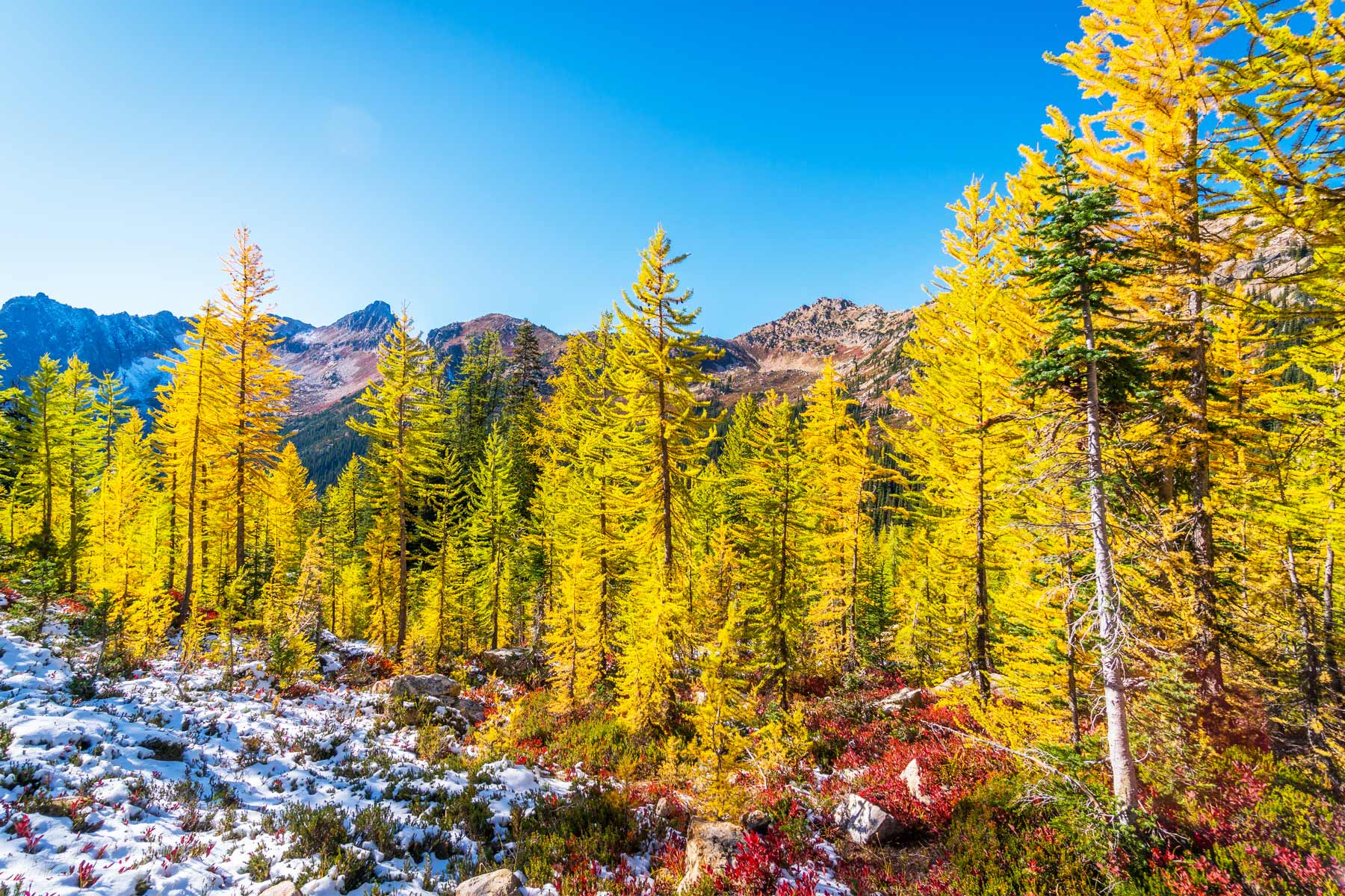 cutthroat pass, best hikes north cascades national park