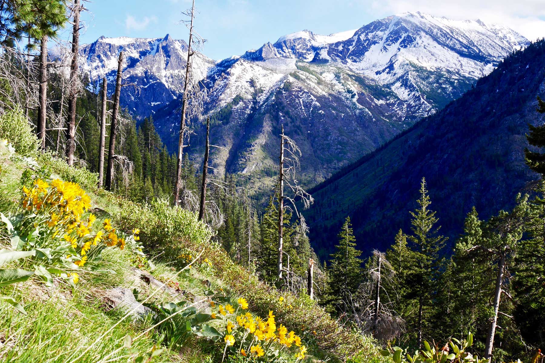 fourth of july pass, best hikes north cascades national park