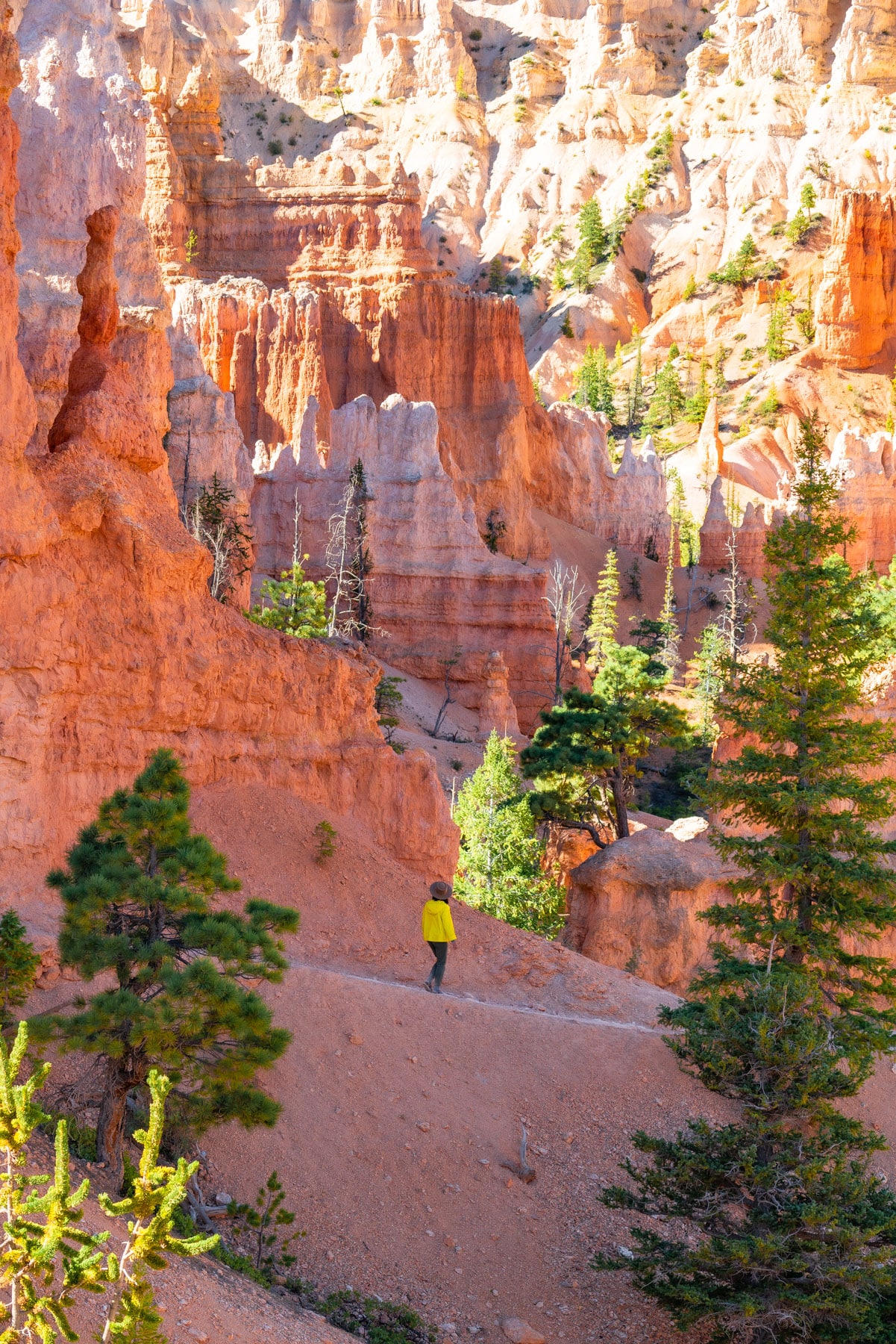 things to do in bryce canyon national park, hiking in bryce canyon national park,