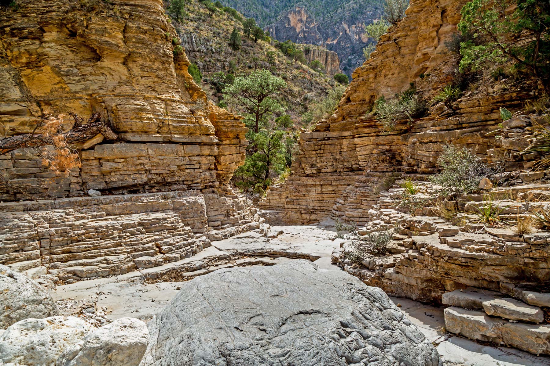 guadalupe mountains national park facts