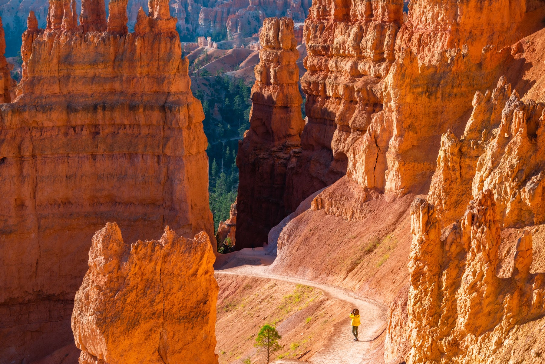 things to do bryce canyon national park utah