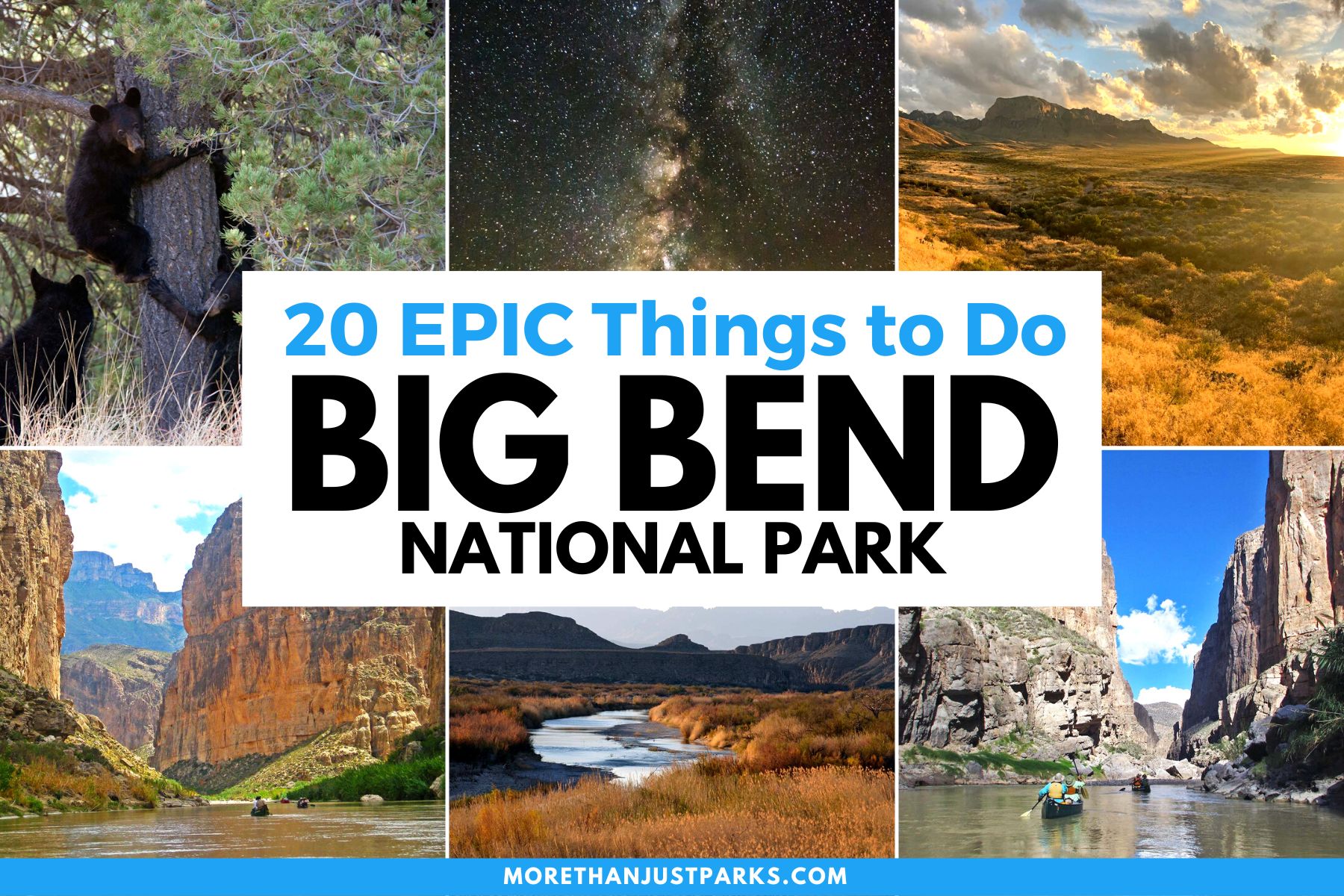 things to do the park texas