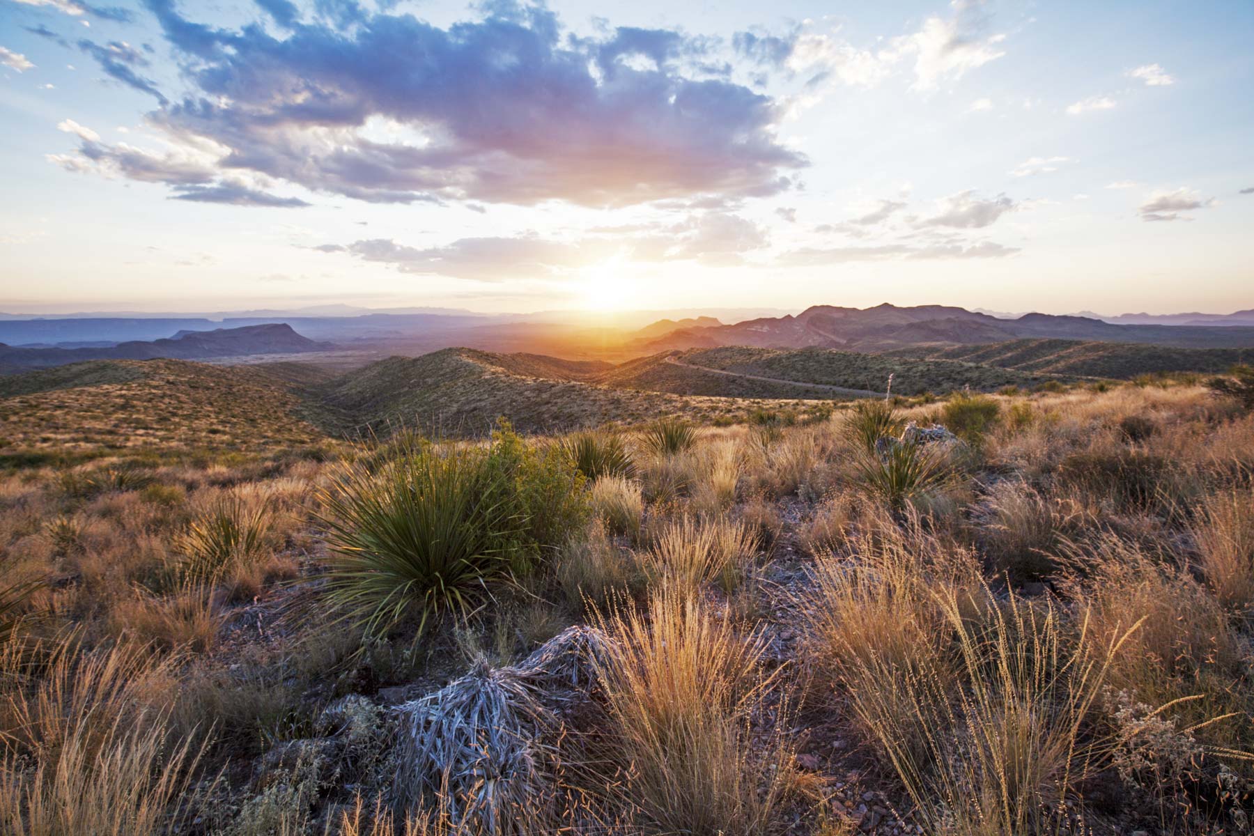 sotol vista overlook, Things to Do Big Bend National Park
