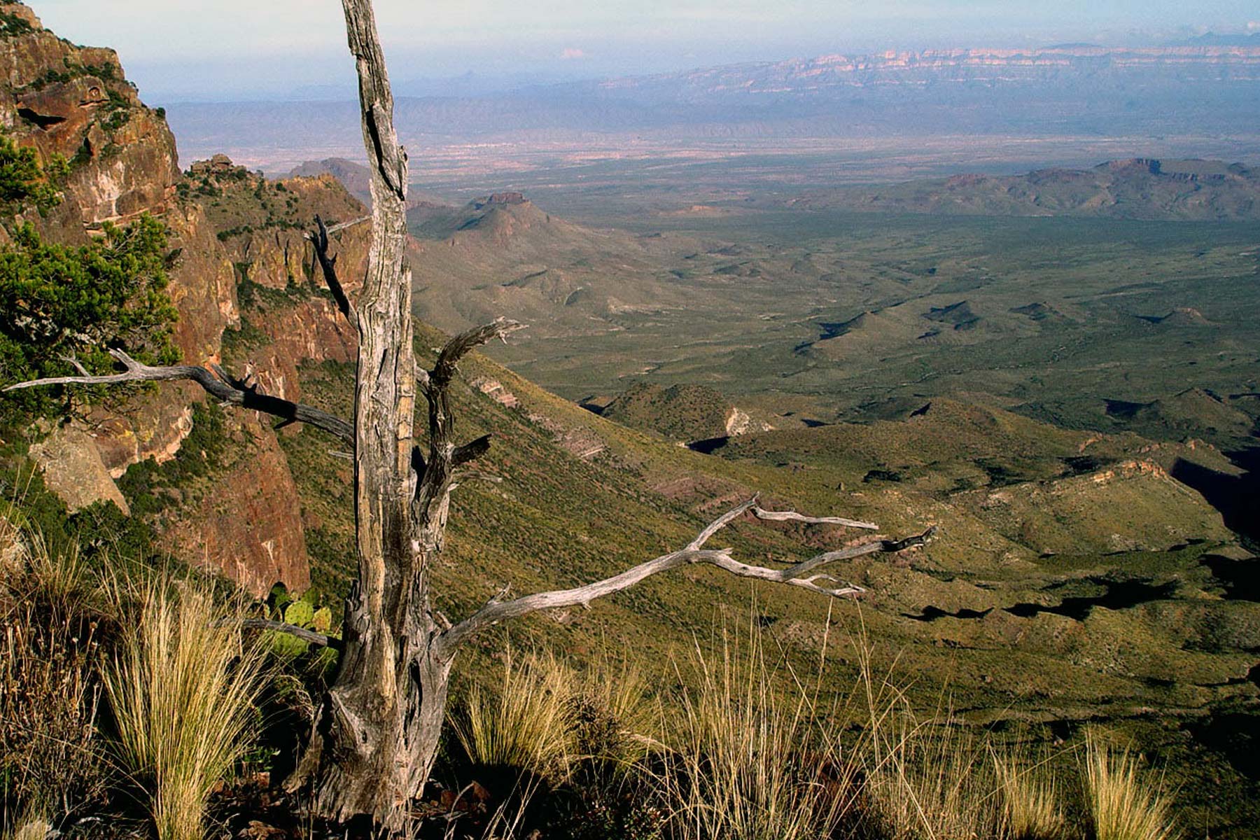 things to do big bend national park texas