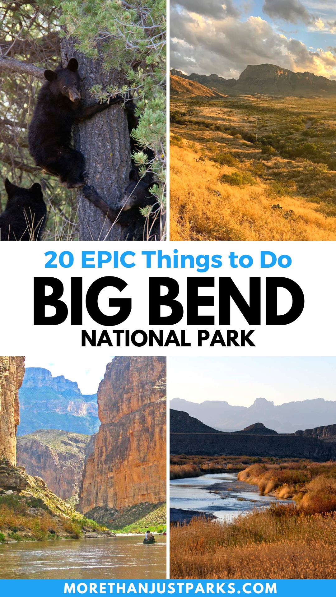 things to do the park texas