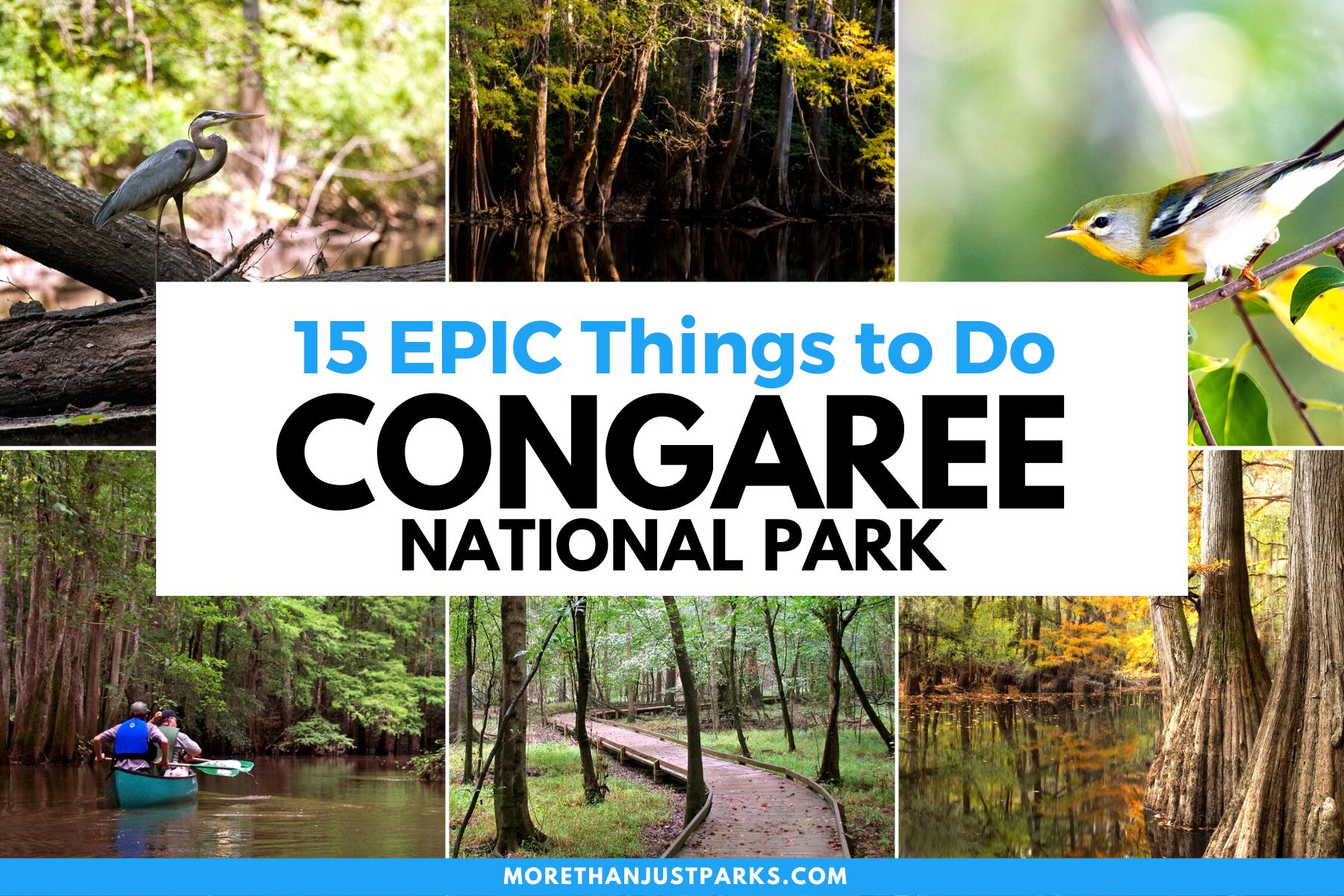 things to do congaree national park