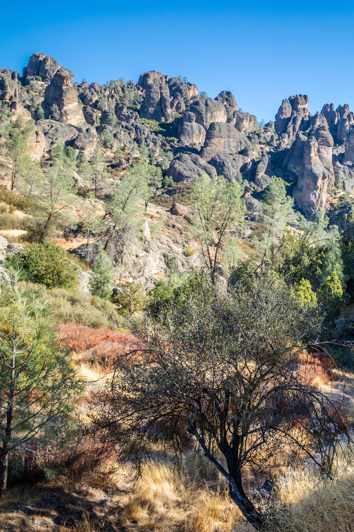 best things to do pinnacles national park