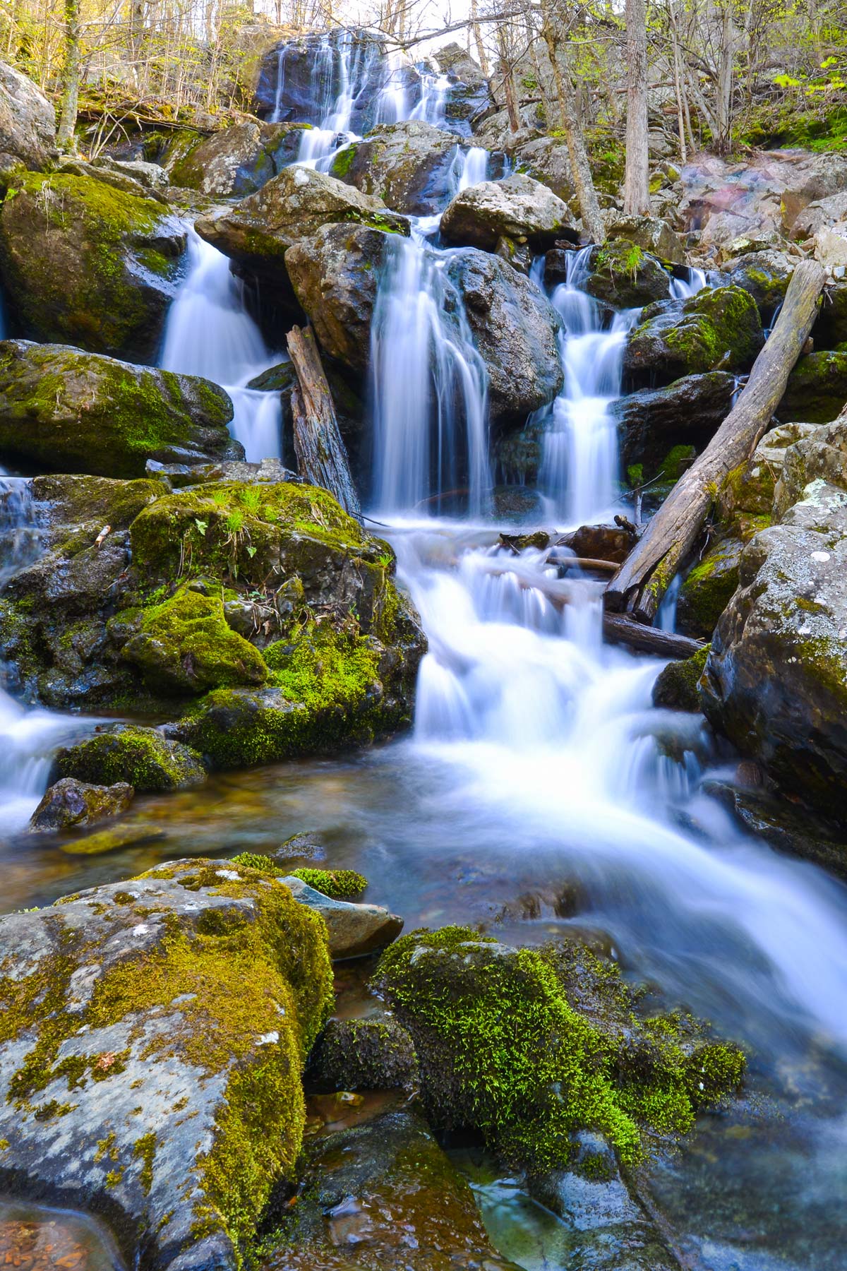 things to do shenandoah national park, dark hollow falls