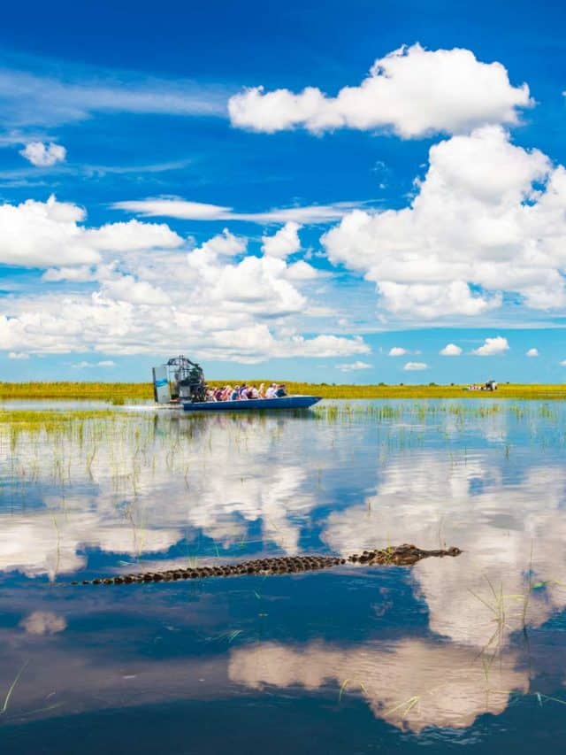 things to do everglades national park florida