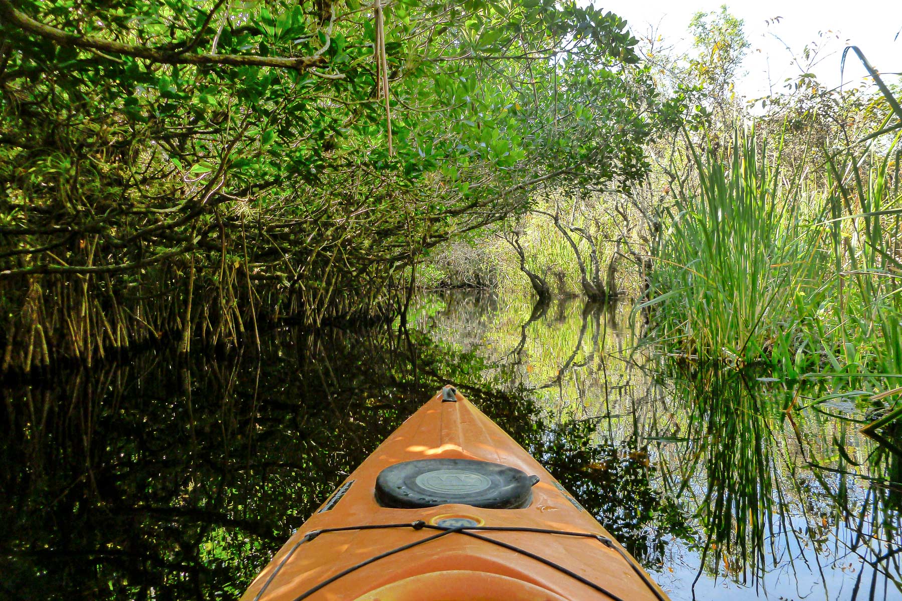 things to do everglades national park florida
