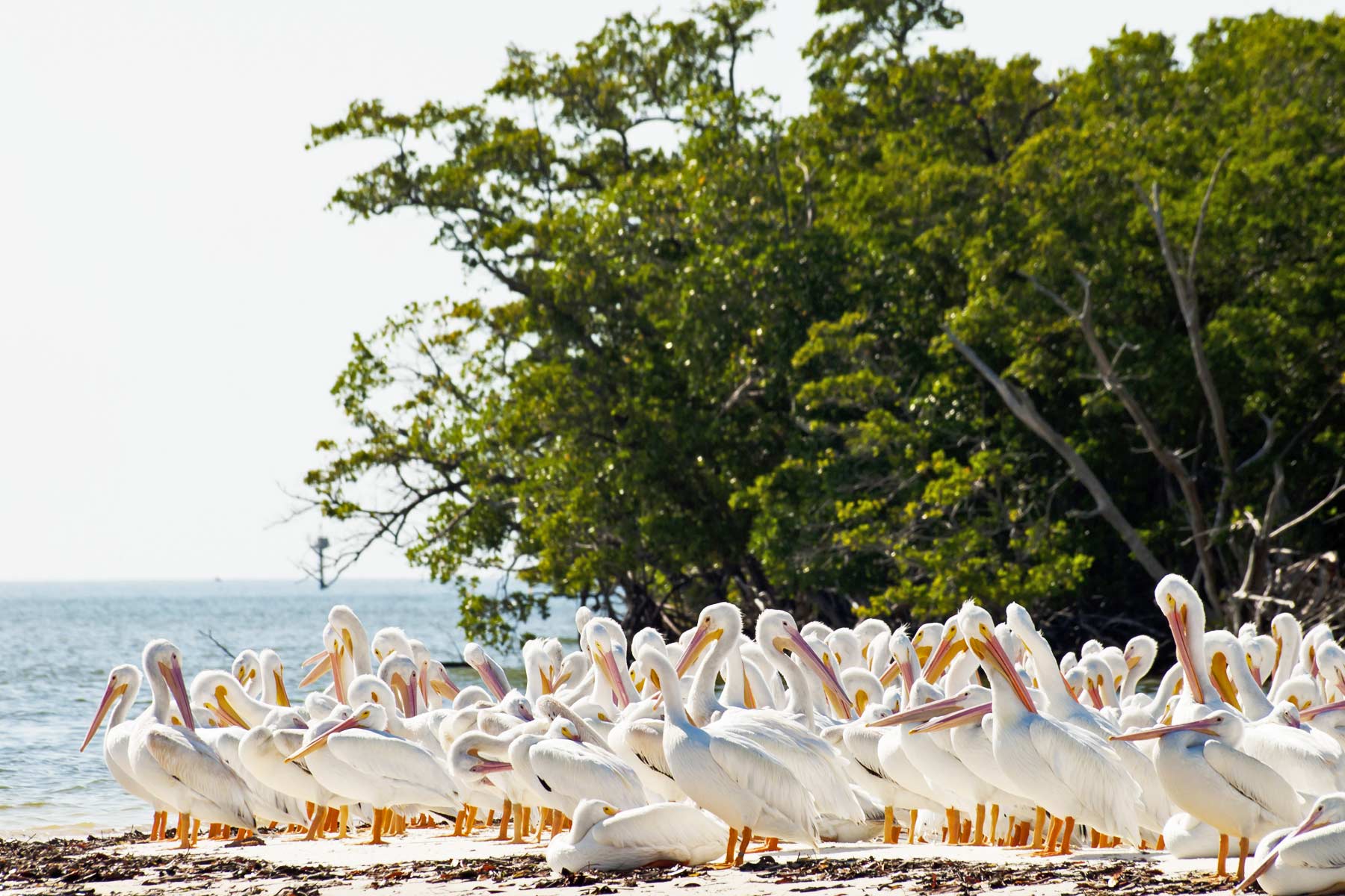 everglades national park things to do