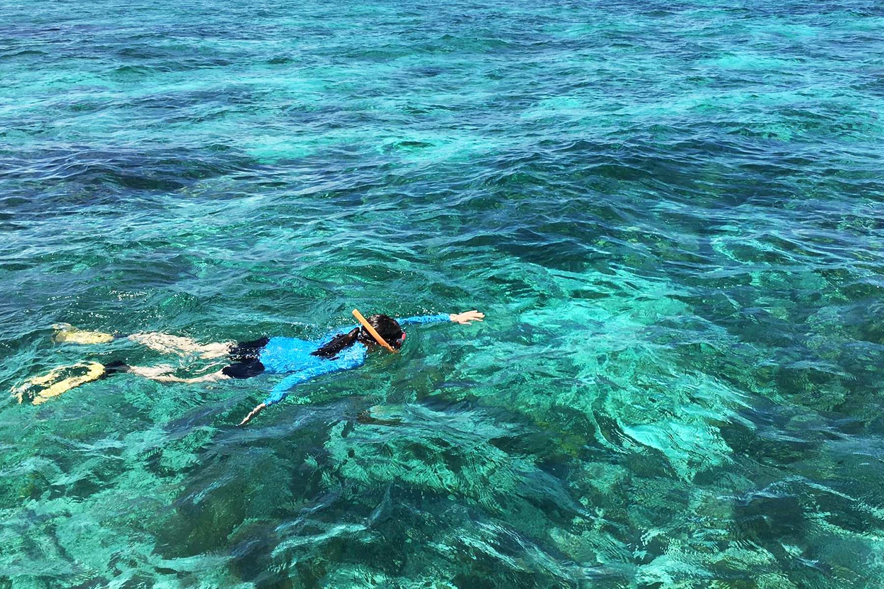 snorkeling, things to do in biscayne national park