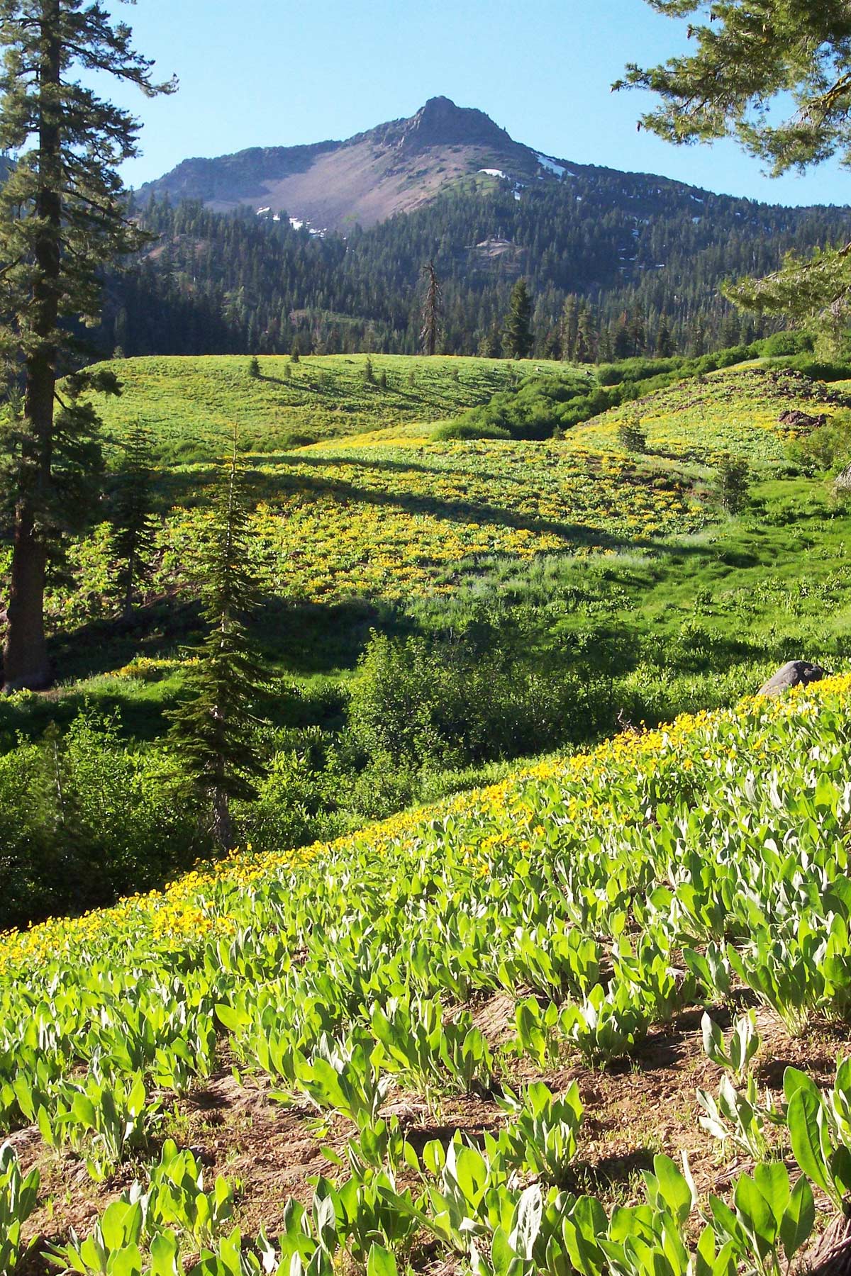 mill creek falls trail, things to do in lassen volcanic national park