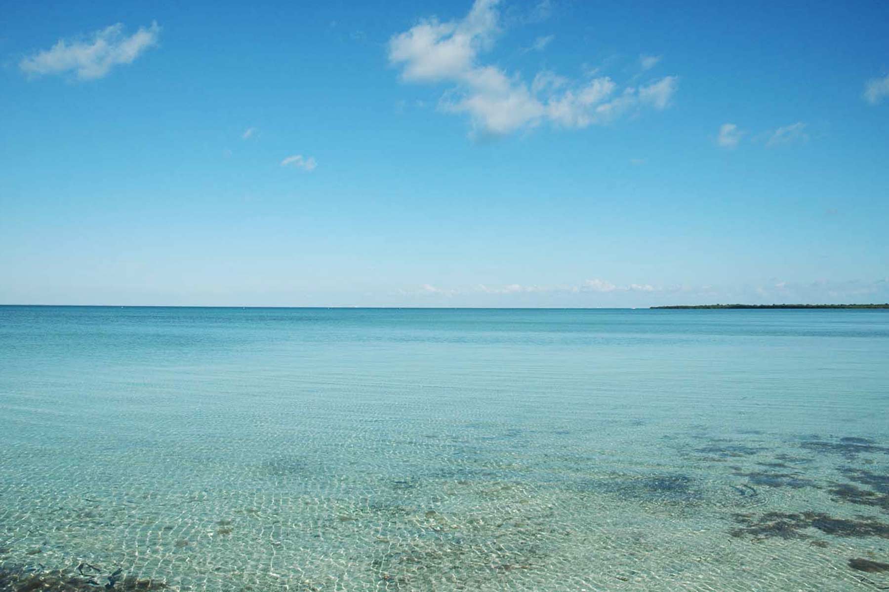 elliott key, things to do in biscayne national park