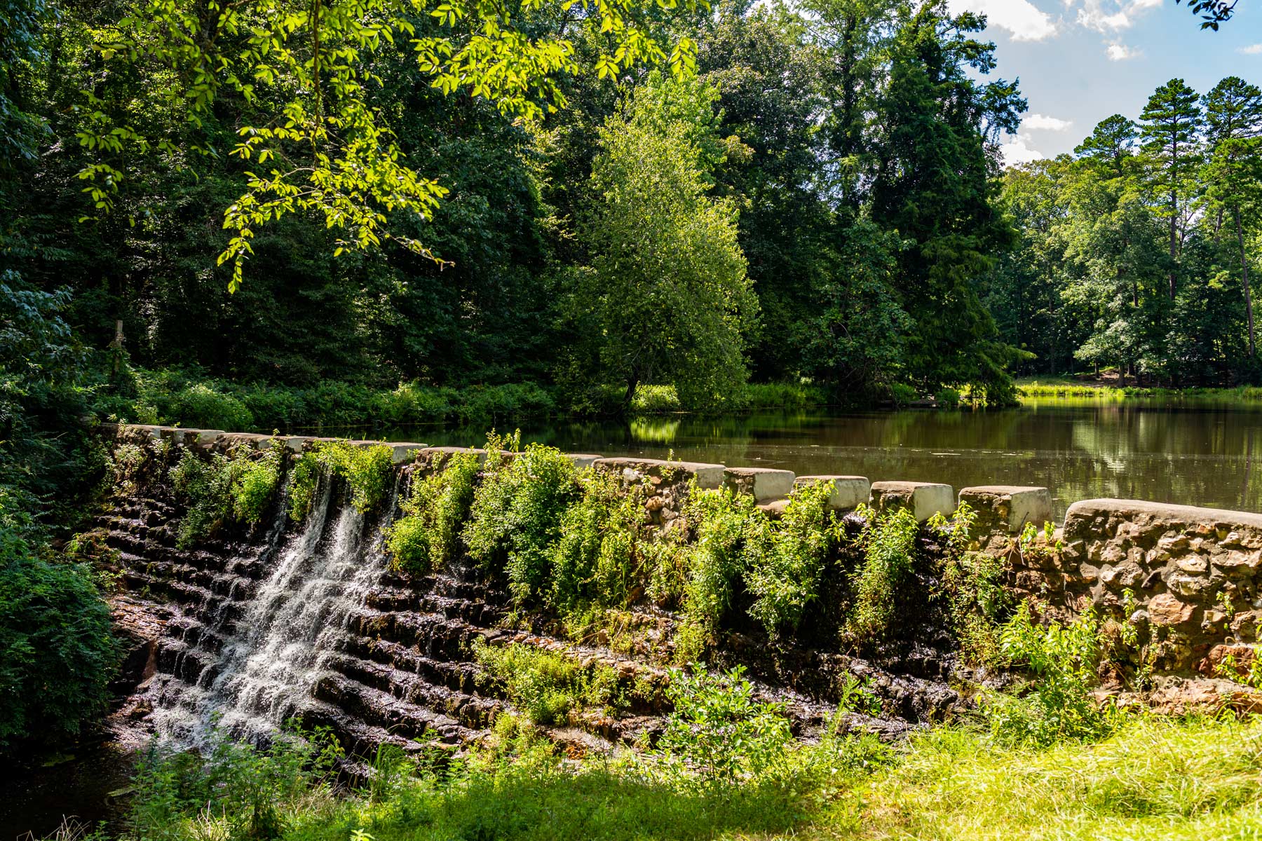 ricks pond, things to do in hot springs national park