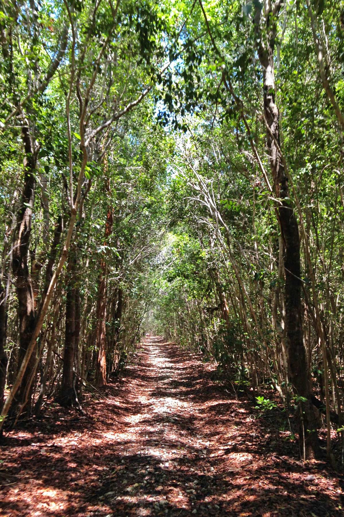 spite highway, things to do in biscayne national park