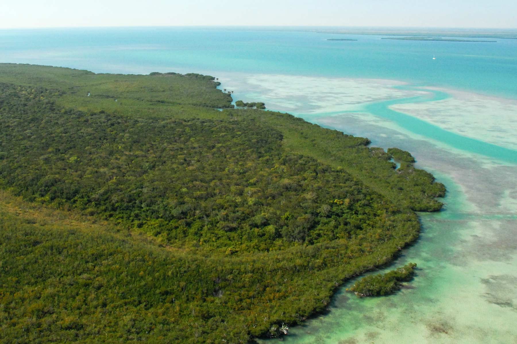 totten key, things to do in biscayne national park