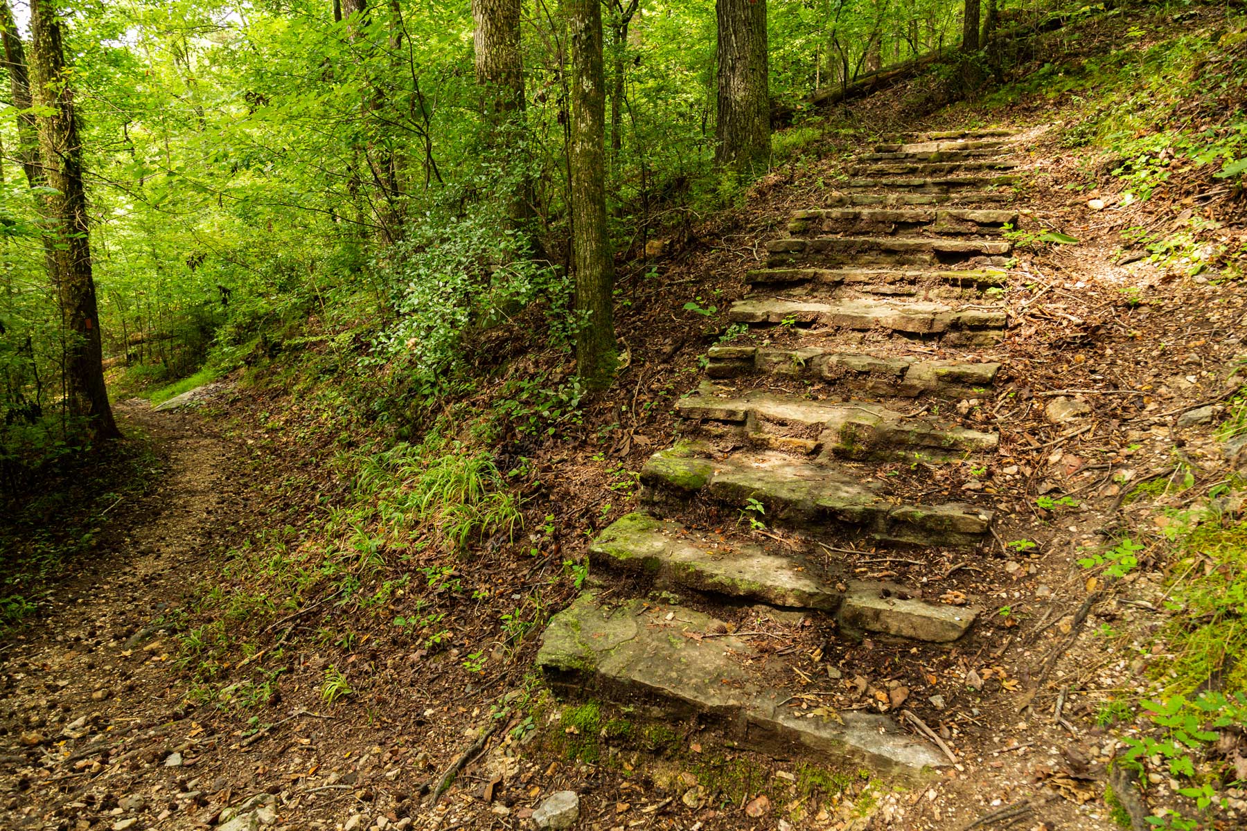 hiking trails, things to do in hot springs national park