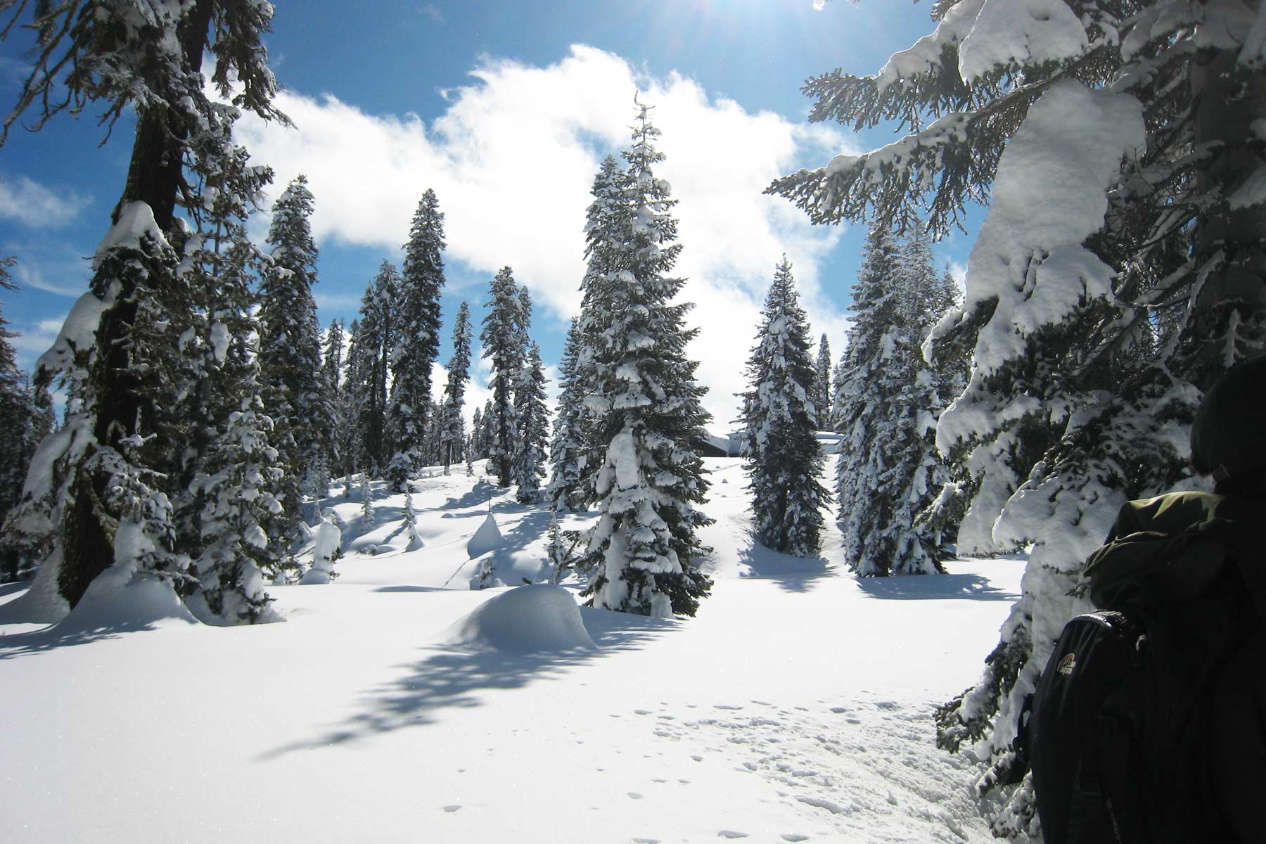 winter in lassen volcanic national park