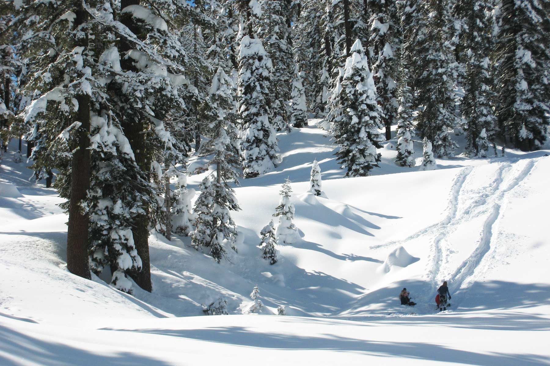 winter in lassen volcanic national park