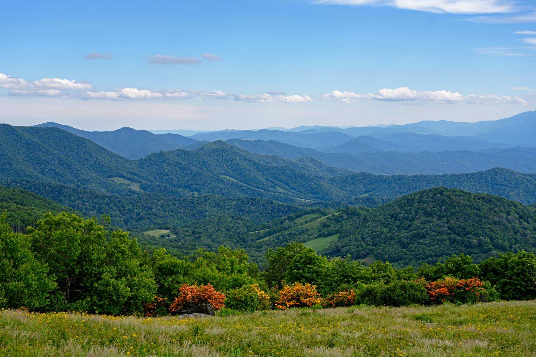 best hikes great smoky mountains national park, gregory bald