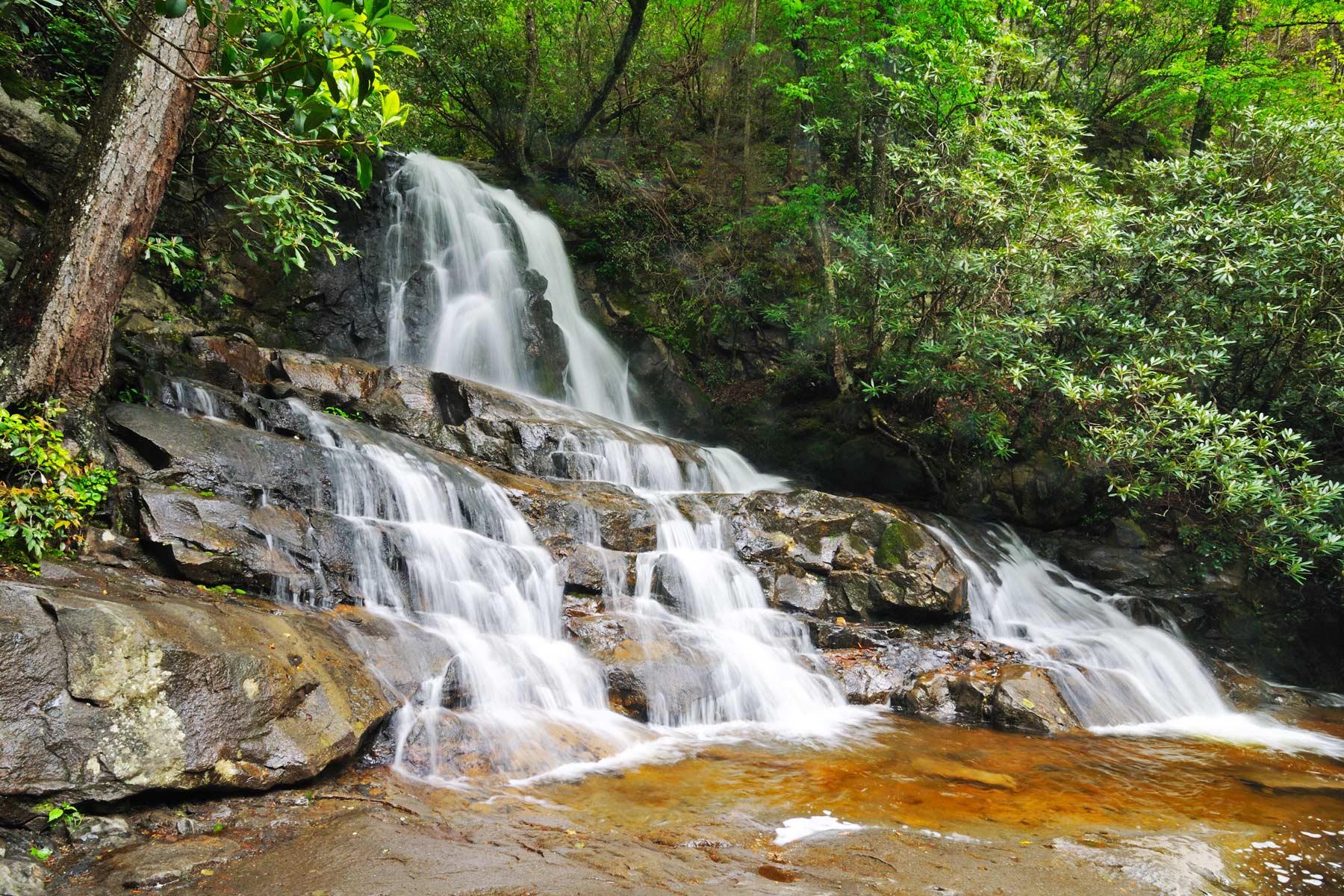 best hikes great smoky mountains national park, laurel falls